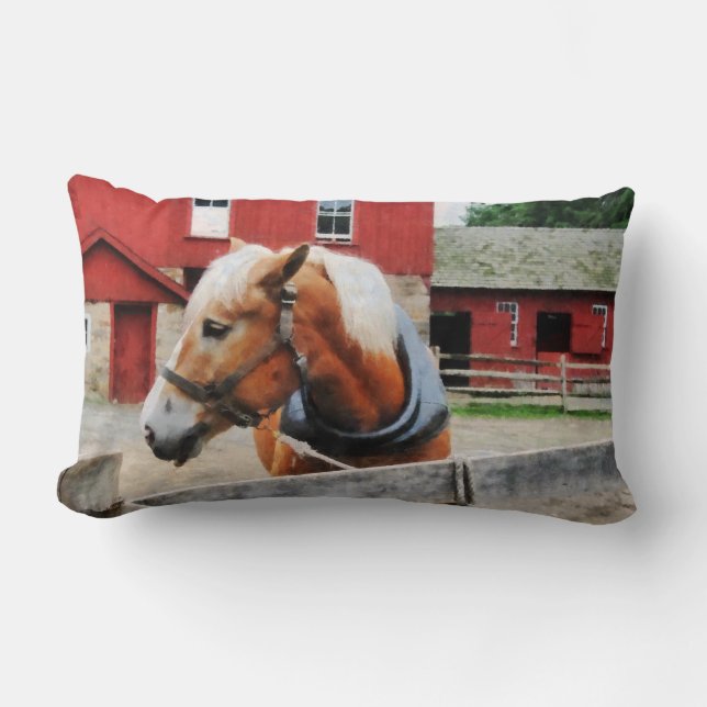 Coussin Rectangle Palomino By Red Barn (Recto)