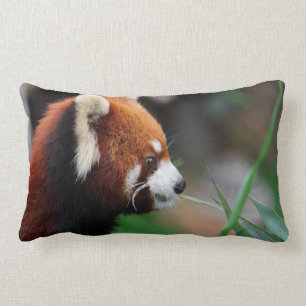 Coussin Rectangle Panda rouge