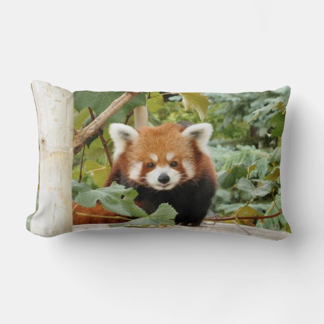 Coussin Rectangle Panda rouge (Recto)