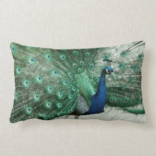 Coussin Rectangle Paon
