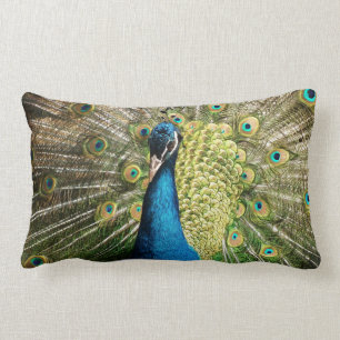 Coussin Rectangle Paon