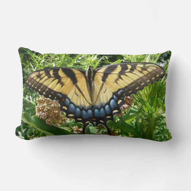 Coussin Rectangle Papillon à queue d'aronde II à Shenandoah (Recto)