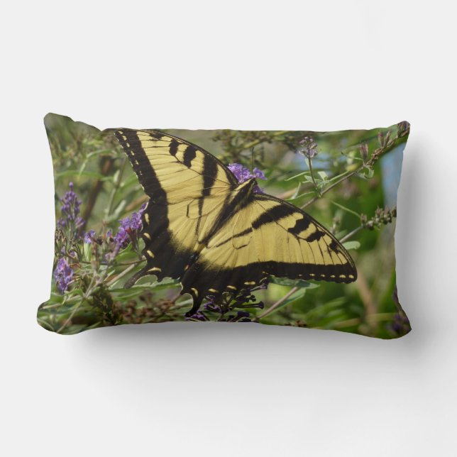 Coussin Rectangle Papillon à queue d'hirondelle sur Buddleia (Recto)