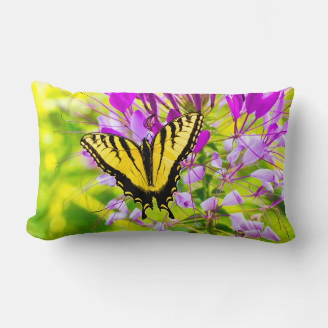 Coussin Rectangle Papillon à queue jaune (Recto)