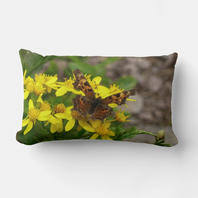 Coussin Rectangle Papillon Comma dans le parc national des Glaciers (Recto)