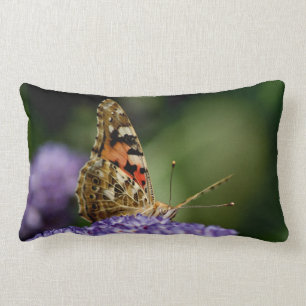 Coussin Rectangle Papillon de observation et de attente