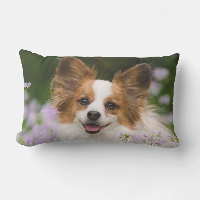 Coussin Rectangle Papillon Dog Cute Romantique Portrait Photo Extéri (Recto)