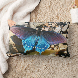 Coussin Rectangle Papillon noir à queue fourchue sur la plage de la