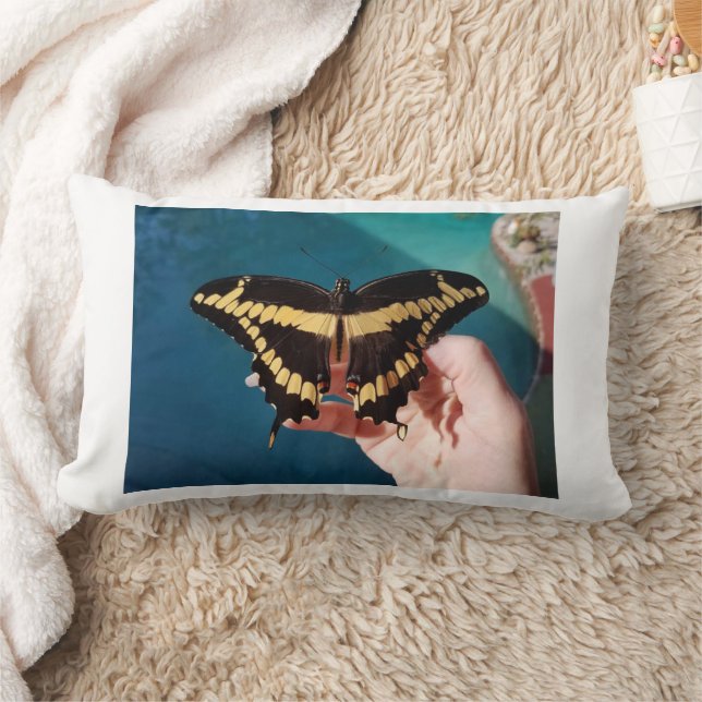 Coussin Rectangle Papillon swallowtail géant (Couverture)
