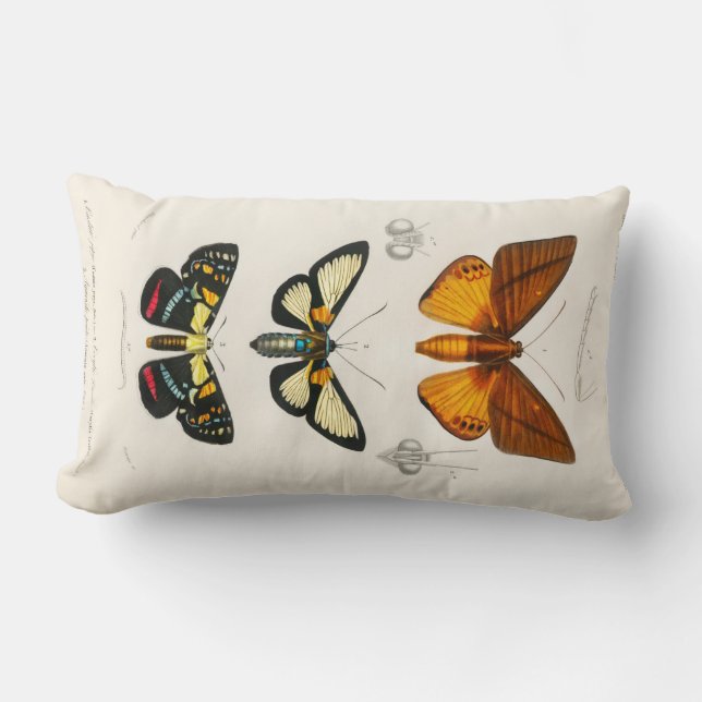 Coussin Rectangle Papillons vintages (Recto)