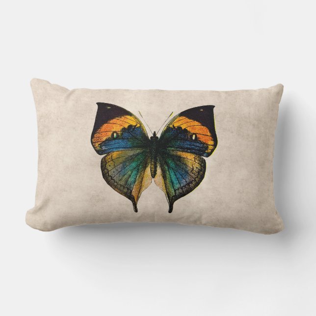 Coussin Rectangle Papillons vintages de l'illustration 1800's de (Recto)