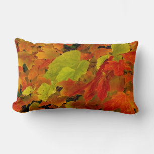 Coussin Rectangle Parc d'État d'Itasca, couleurs d'automne