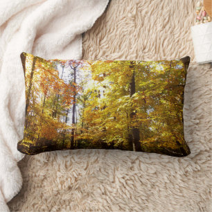 Coussin Rectangle Parc Greenbelt en automne II Scène de la nature da