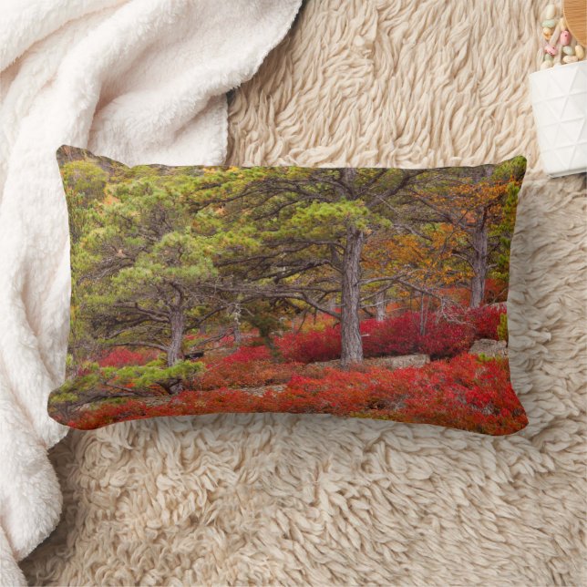 Coussin Rectangle Parc national d'Acadia, Maine (Couverture)