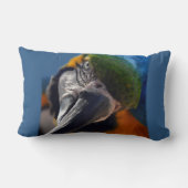 Coussin Rectangle Parrot Oiseau Macaw Oiseau Décoratif Oiseau Jailli (Verso)