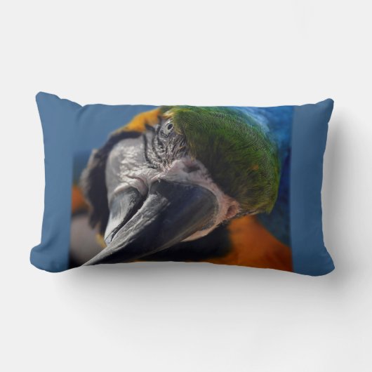 Coussin Rectangle Parrot Oiseau Macaw Oiseau Décoratif Oiseau Jailli (Recto)