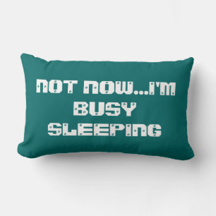 COUSSIN RECTANGLE PAS MAINTENANT...JE DORME OCCUPÉ