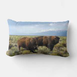 Coussin Rectangle Pays de la nature animale de Buffalo Destin Paix