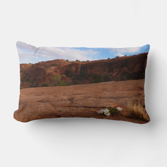 Coussin Rectangle Paysage d'Arches Slickrock et d'Oenothère (Recto)
