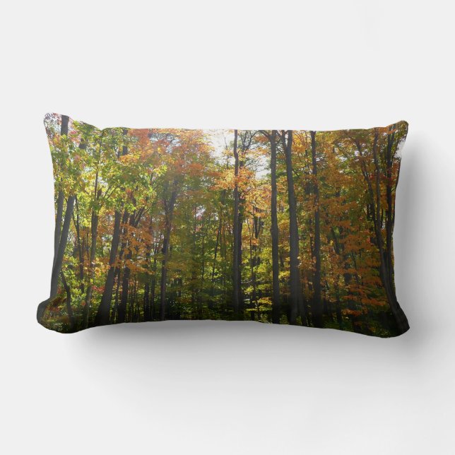 Coussin Rectangle Paysage d'automne de forêt ensoleillée (Recto)