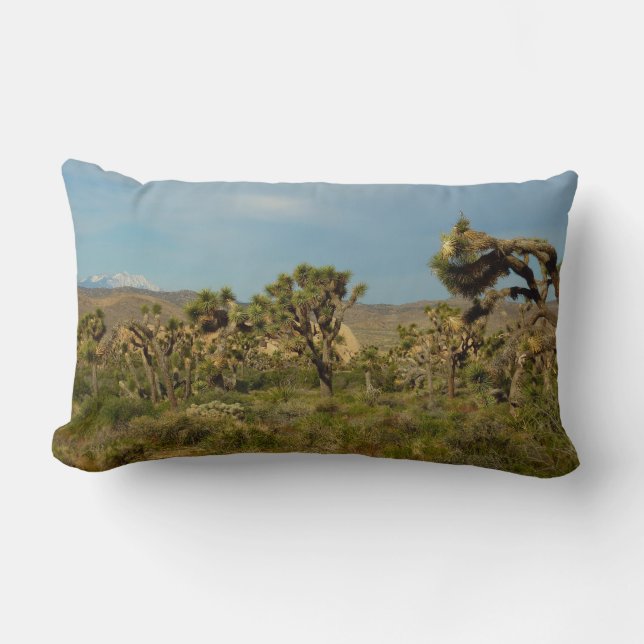 Coussin Rectangle Paysage désertique du parc national de Joshua Tree (Recto)