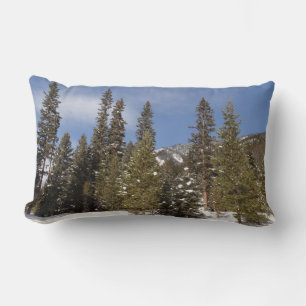 Coussin Rectangle Paysages de montagnes du Montana en hiver