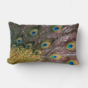 Coussin Rectangle Peacock Feathers Emerald Green et Gold