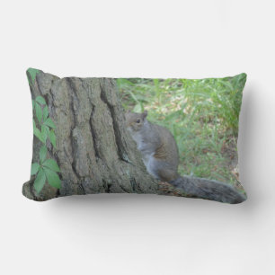 Coussin Rectangle Peek A Boo Squirrél -