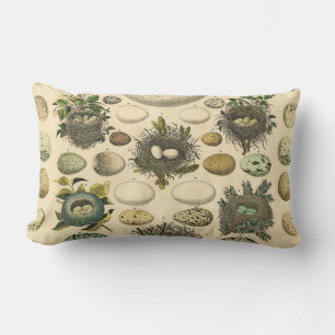 Coussin Rectangle Peinture artistique de nid d'oeuf d'oiseau vintage