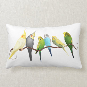Coussin Rectangle Perruches et Cockatiels