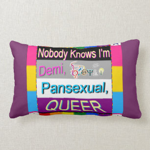Coussin Rectangle Personne ne sait que je suis Demi Sapio Pansexual
