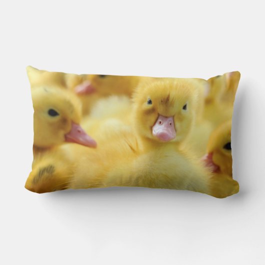 Coussin Rectangle Petits canards (Verso)