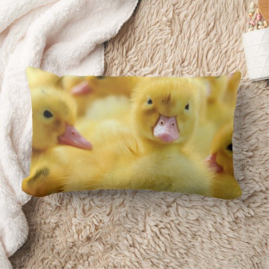 Coussin Rectangle Petits canards (Couverture)