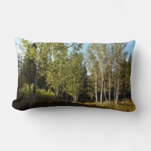Coussin Rectangle Peupliers le long du sentier Moose Ponds à Grand T