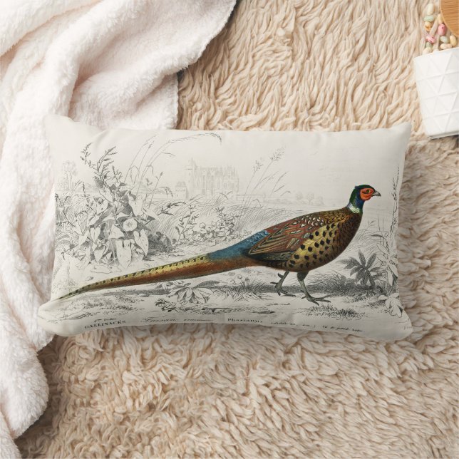 Coussin Rectangle Phéasant vintage à col Antique (Couverture)