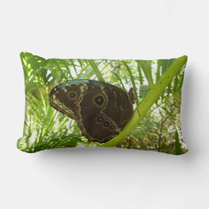 Coussin Rectangle Photo de la nature du papillon bleu Morpho