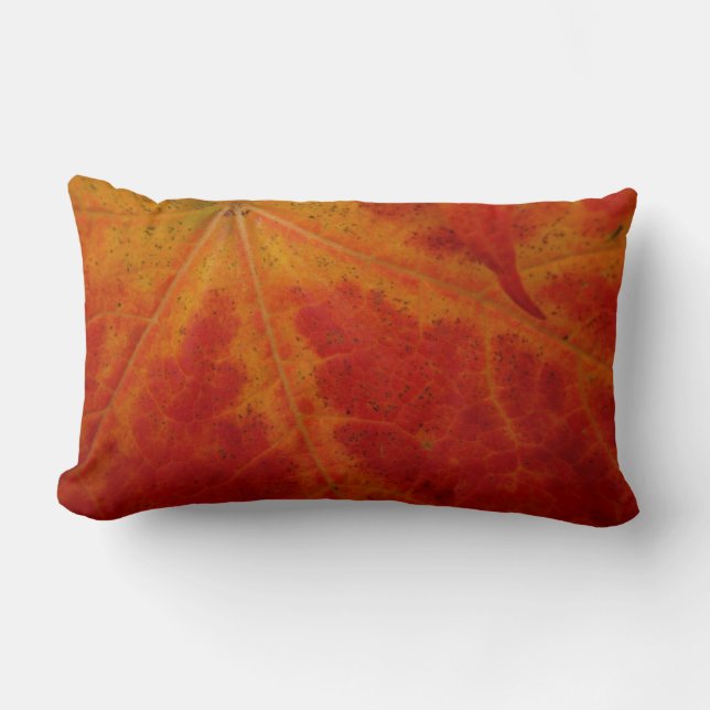 Coussin Rectangle Photographie abstraite de la feuille d'érable roug (Recto)