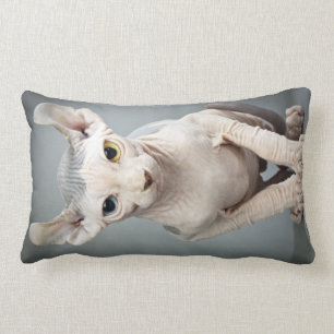Coussin Rectangle Photographie de chat de sphinx d'Elf
