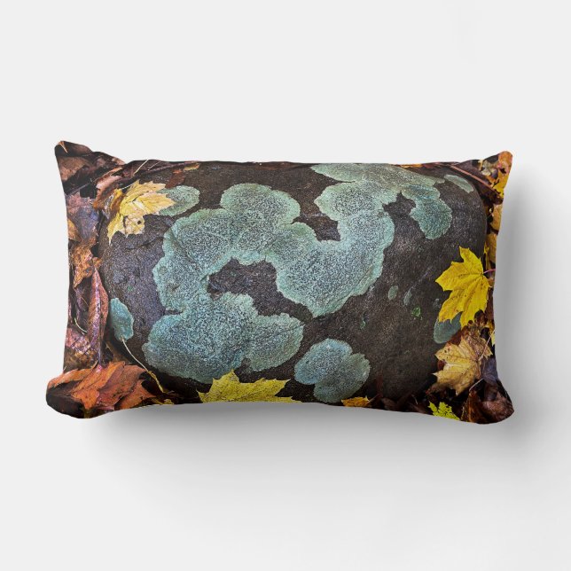 Coussin Rectangle Pierre recouverte de mousse dans les feuilles d'au (Recto)