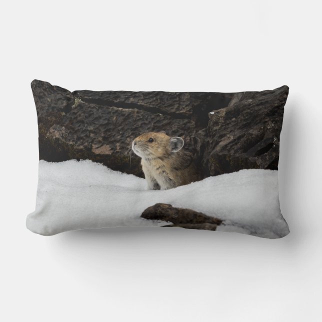 Coussin Rectangle Pika américain dans un banc de neige (Recto)