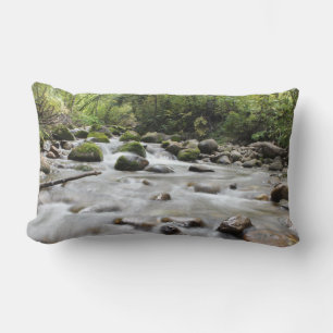 Coussin Rectangle Pilotes de lancement de flux de forêt