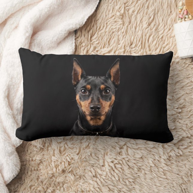 Coussin Rectangle Pinscher nain isolé sur fond noir (Couverture)