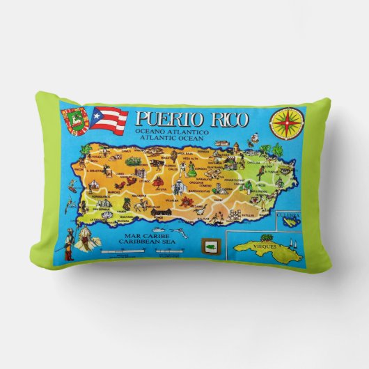 Coussin Rectangle Plaidoyer jetable en bleu clair de Porto Rico (Recto)