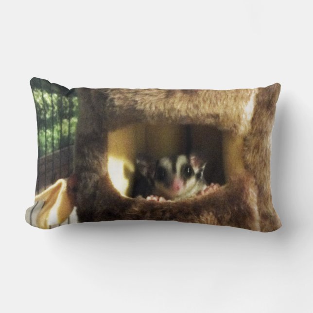 Coussin Rectangle Planeur à sucre dans le fourrure Truck Hanging Lit (Recto)