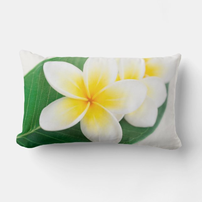 Coussin Rectangle plumeria (Recto)