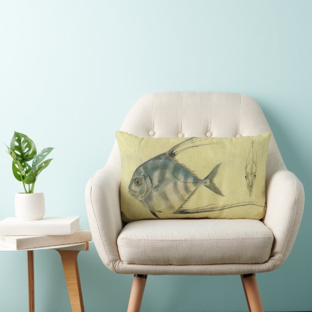 Coussin Rectangle Poisson Alectis indicus, Carangue à trois épines v (Chaise)