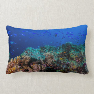 Coussin Rectangle Poissons tropicaux sur la Grande barrière de