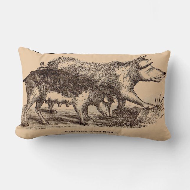 Coussin Rectangle Porcs posters de animaux de ferme du 19e siècle (Recto)