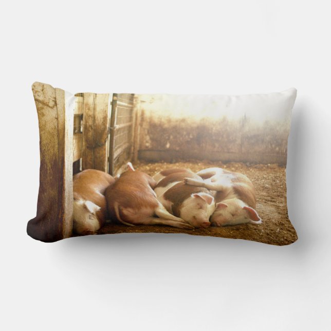 Coussin Rectangle Porcs se blottissants des images | de Getty (Recto)
