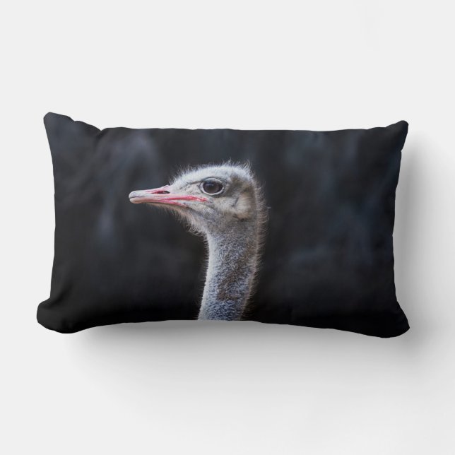 Coussin Rectangle portrait d'autruche (Recto)
